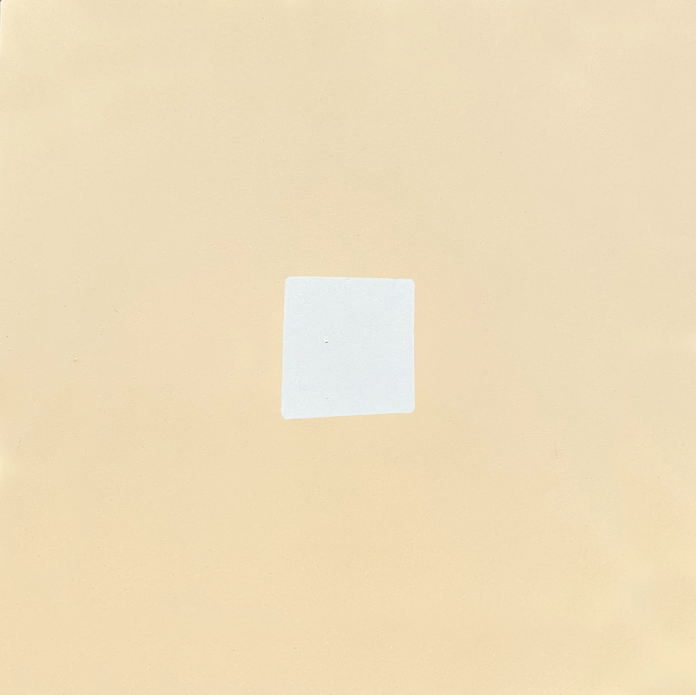 in stock // strands //  caroline z hurley x // mixed shapes // fun in the sun - Image 11