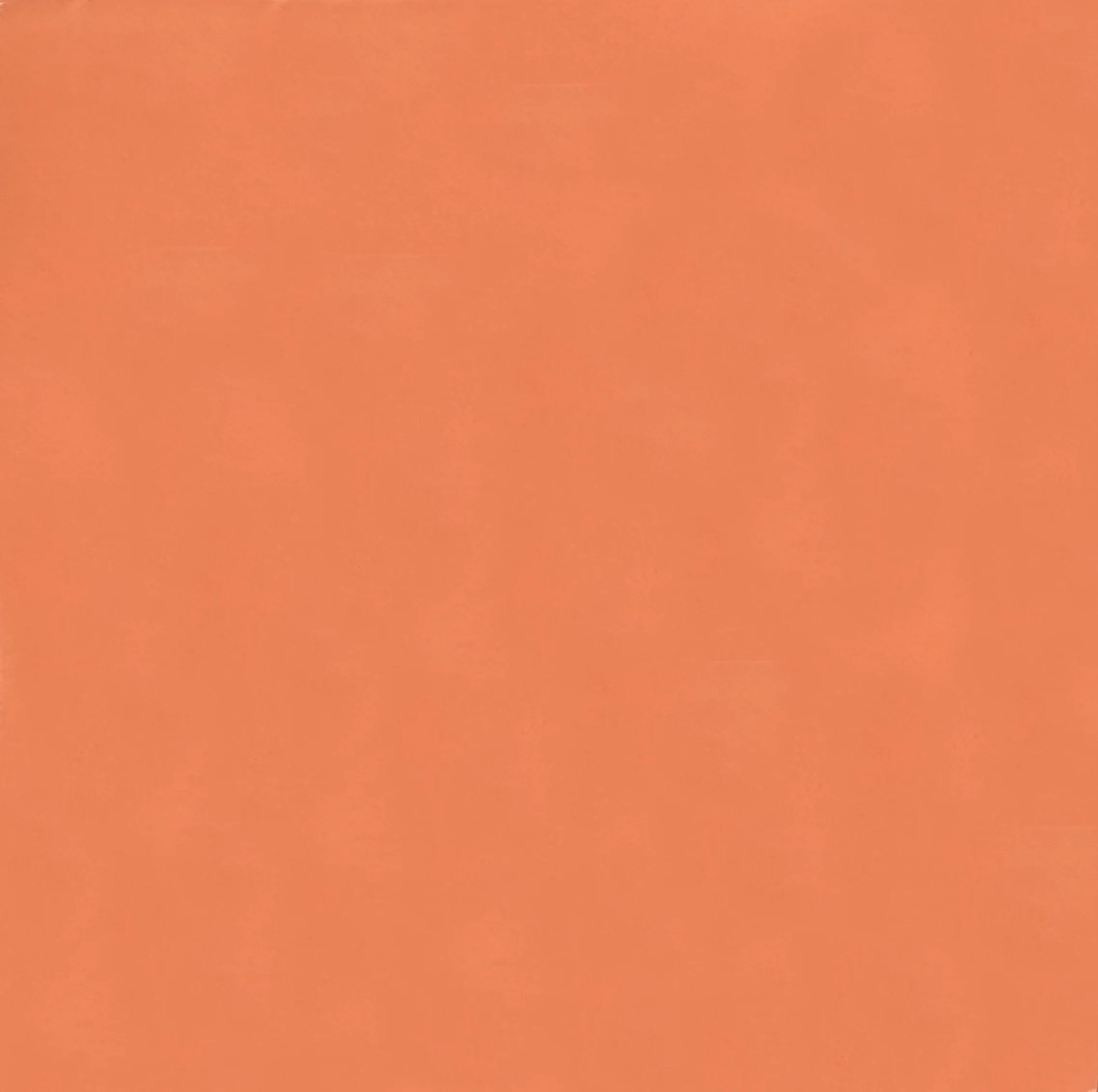in stock // strands // sss // mixed - field: blush, accent: ivory - Image 2