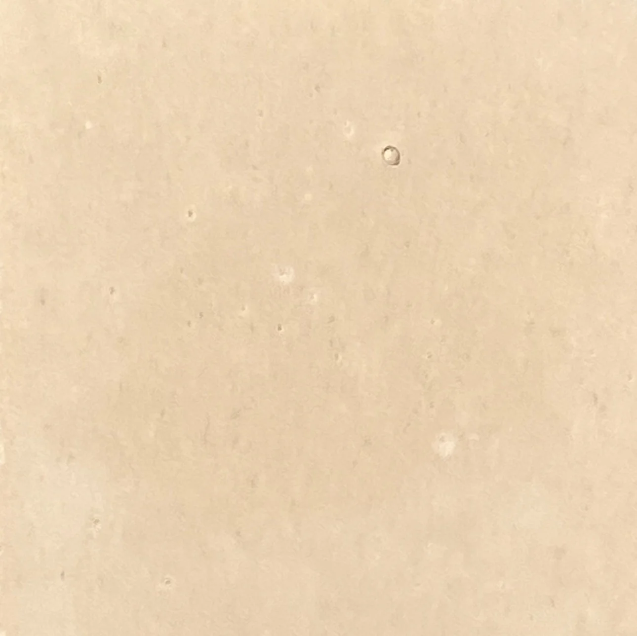 salt // zellige tile // sample - Image 3