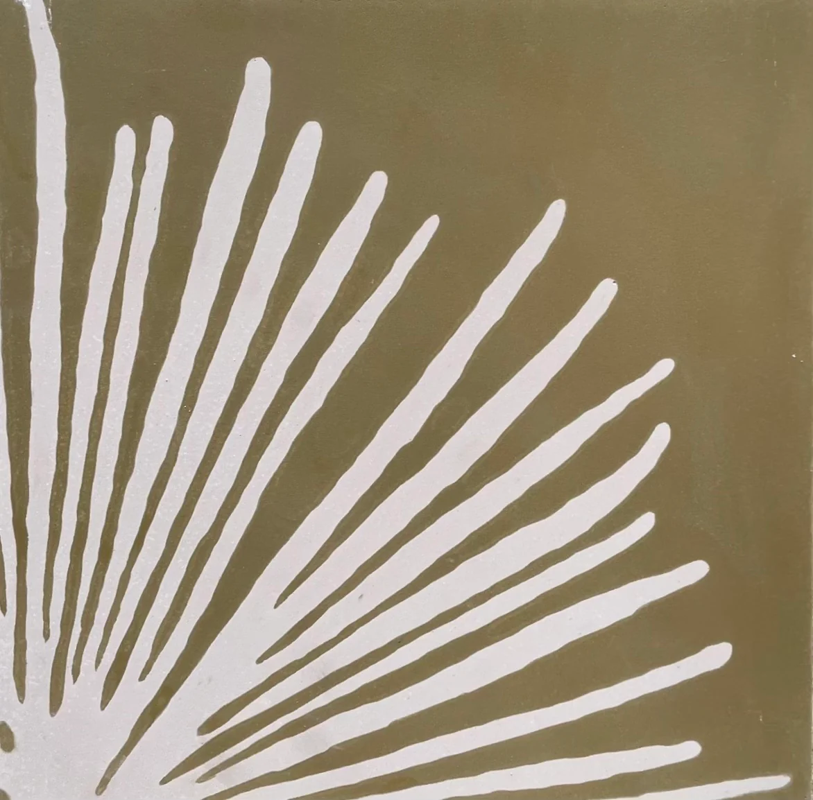 yucca  //  box of 13  //  indio x